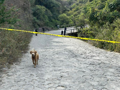 Un hombre con impactos de bala fue encontrado en la Nueva Santa María